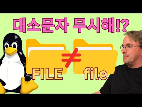 대소문자 구분 없는 파일 시스템의 숨겨진 위험 (토발즈가 뿔난 이유)