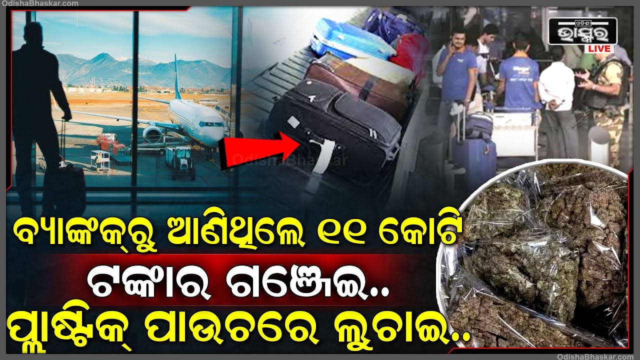 ପ୍ଲାଷ୍ଟିକ୍ ପାଉଚରେ ଲୁଚାଇ ବ୍ୟାଗର କଣରେ ଆଣୁଥିଲେ ୧୧ କୋଟି ଟଙ୍କାର ଗଞ୍ଜେଇ, ଏୟାର ପୋର୍ଟରେ ଧରା ପଡ଼ିଗଲେ