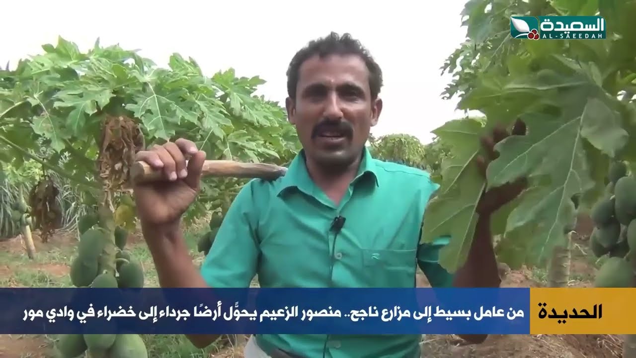 قناة السعيدة
