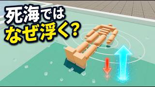 なぜ死海では体が凄く浮くのか？原理を解説する
