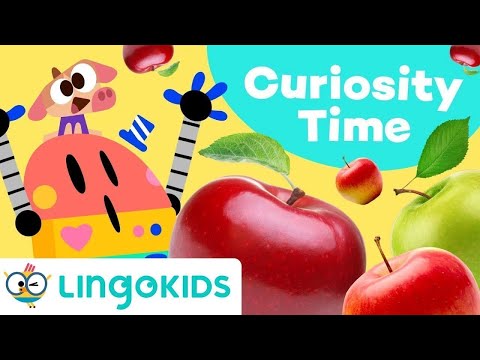 WHERE DO APPLES COME FROM? 🍏🍎  Educational Video for Kids | Lingokids