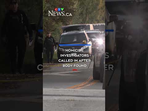 Homicide investigators called in after body found