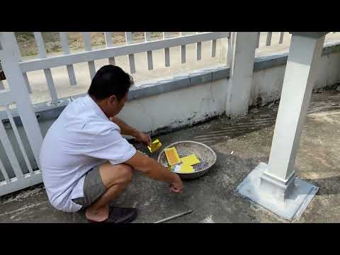 Khoảnh Khắc của Tết #2025