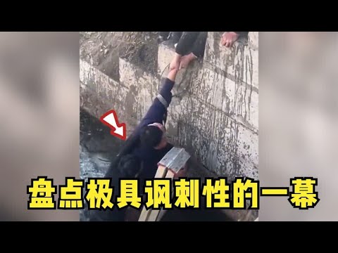 盘点极具讽刺性的一幕,好心人救人反被锁喉,女子遛狗不牵绳