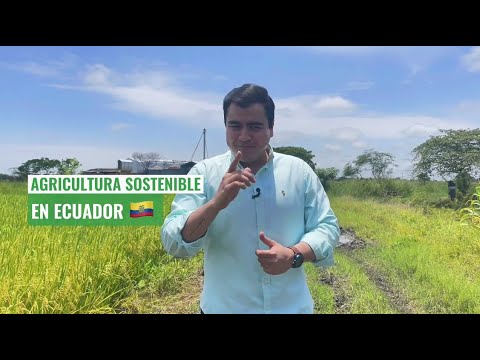Ecuaterra: Agricultura sostenible en Ecuador
