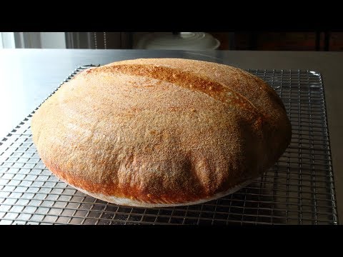 Sourdough Bread - Part 1: The Starter