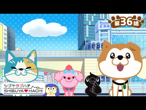 アニメ『SHIBUYA♡HACHI』第36話「目指せ渋谷のテッペン！」