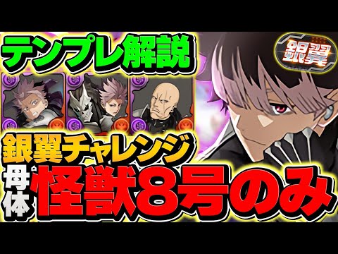 【ガチ接待】鳴海弦で銀翼チャレンジを完全破壊！怪獣8号キャラ多め！代用&立ち回り解説も！【パズドラ】