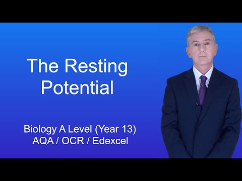A Level Biology Revision (Year 13) “The Resting Potential”