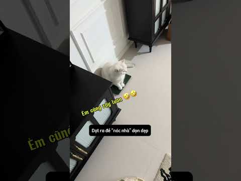 Không ai dám nhúc nhích luôn á