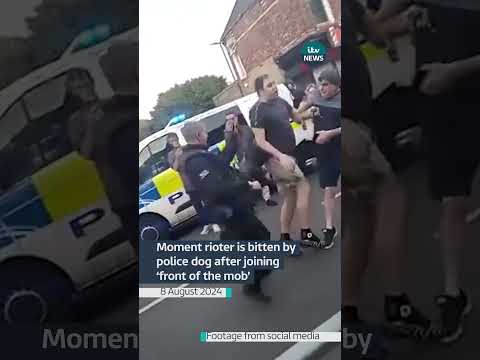 Moment rioter is bitten by police dog after joining ‘front of the mob’ #itvnews #news #riot