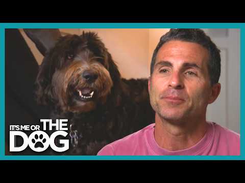 This Rescue Dog Is A Social Life Nightmare! Can Victoria Help? | It's Me Or The Dog