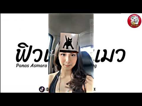 แดนซ์ฮิตในTikTok(ฟิวเตอร์แมว