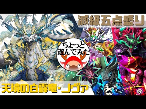 [サモンズボード]ノヴァでちょっと遊んでみた_滅級五点盛り(常設編)