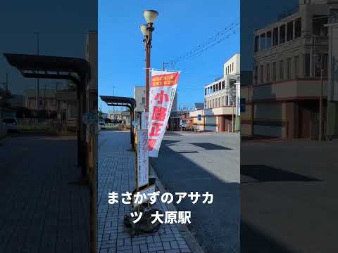 【情熱朝活🌞】大原駅 灼熱の朝活 梅雨の合間 議会の合間 まさかずのアサカツ R7/6/17 外房情熱パワー 小路正和