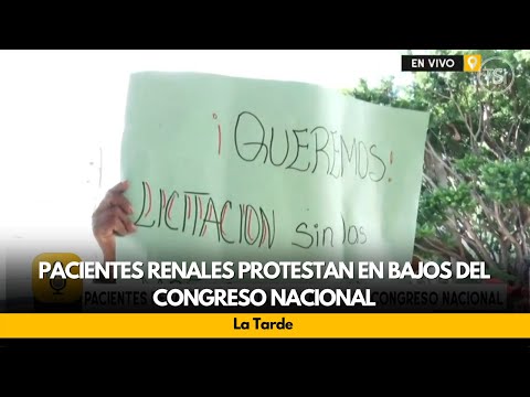 Pacientes renales protestan en bajos del Congreso Nacional