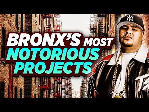 The Most Notorious Housing Projects In The Bronx