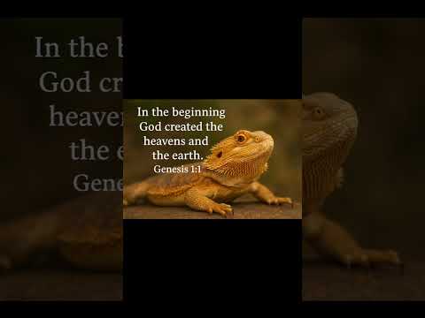 #christianmusic #dailybibleverse #beardeddragon #petlover