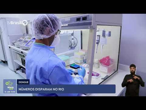 Estado do Rio de Janeiro corre risco de uma epidemia de dengue