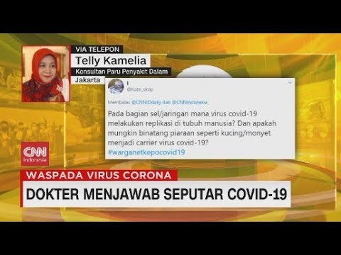 Apakah Hewan Peliharaan Bisa Membawa Virus Covid-19? Dokter Menjawab