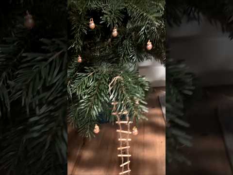 Tannenbaum wird geschmückt #weihnachtswichtel #wichtelstreich #christmas