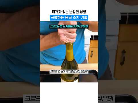 최고급 레스토랑에서 알바할 때 배운 빠진 코르크 빼내는 방법