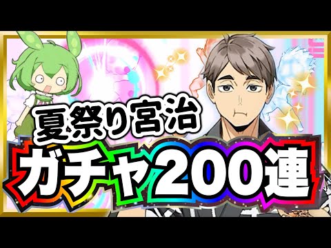 まさかの展開に悶絶‼︎夏祭り宮治ガチャ２００連の結果は？【ハイキュー‼︎Touch The Dream】【無課金ハイドリ】ずんだもん実況