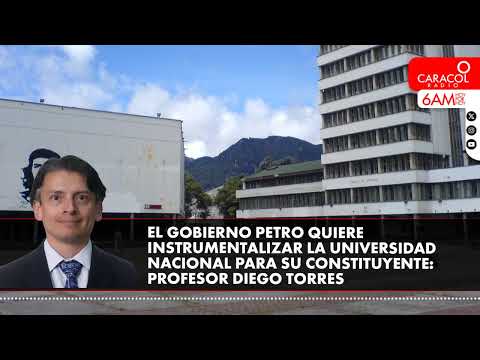 El Gobierno quiere instrumentalizar la Universidad Nacional para su constituyente: profesor