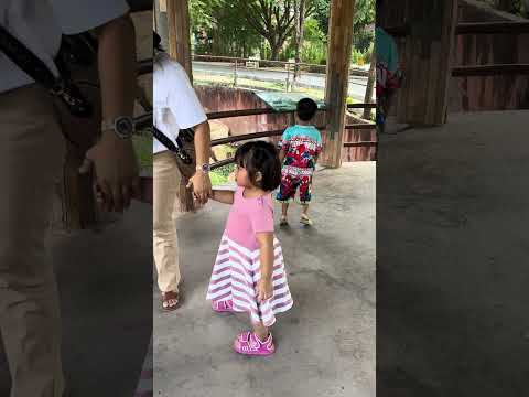 แรดมันไม่อาบน้ำ