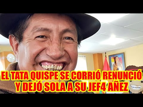 EL TATA QUISPE ABANDONO JEANINE AÑEZ RENUNCIÓ A SU CARGO VICEMINISTRO DE DESCOLONIZACIÓN..