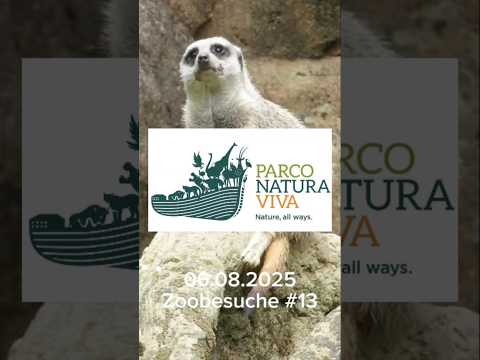 Parco Natura Viva🇮🇹 (06.08.2025) #zoo #tiere #animals #ausflugsziel #natur #2025 #italien