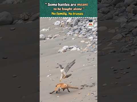 motivation #shortfeed #motivation #ytshorts #shorts #reels #viral #motivational #students #study