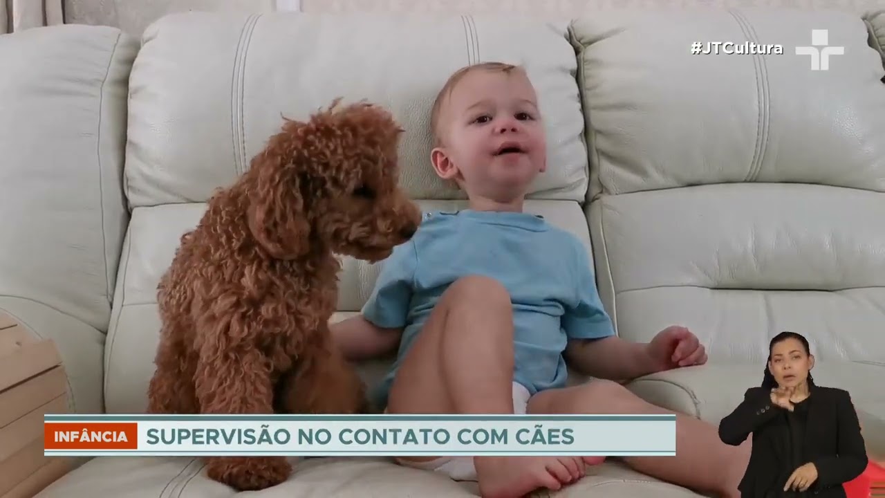 Contato precoce com cães fortalece imunidade e reduz risco de asma infantil, aponta pesquisa