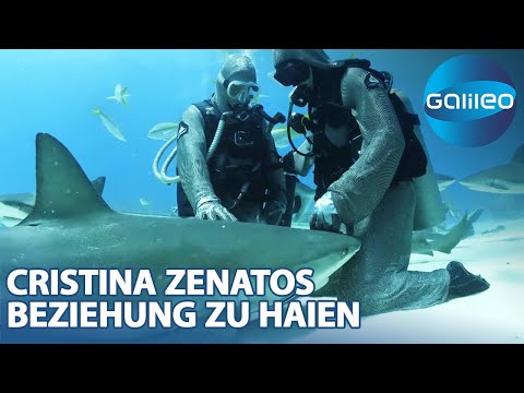 Haihypnotiseurin: So besonders ist Cristina Zenatos Beziehung zu Haien