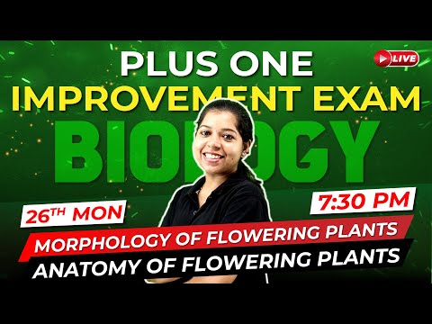 Plus One Improvement Exam | Biology | Morphology and Anatomy of Flowering Plants | Exam Winner