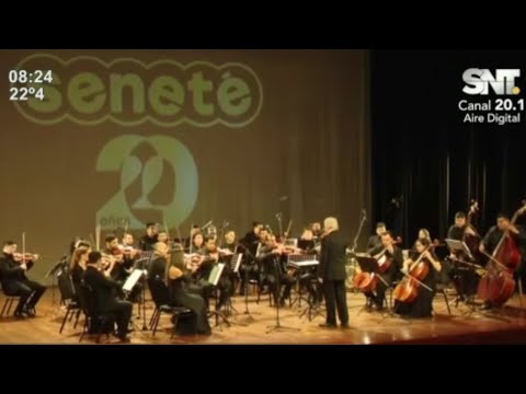 Seneté celebró sus 20 años a pura música