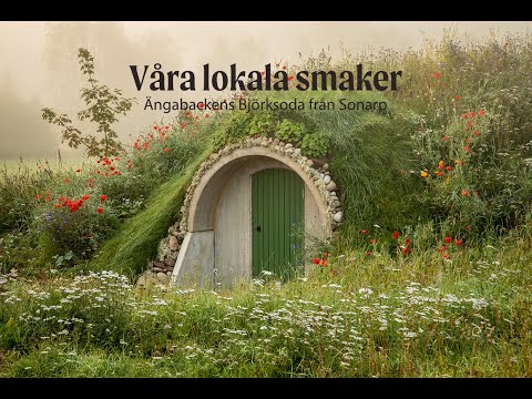 Våra lokala smaker | Ängsbackens Björksoda