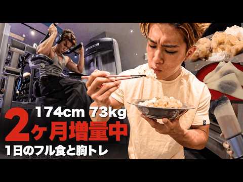 【1日フル食】仕事と両立させる増量中のリアルな1日の食事と胸トレーニング。