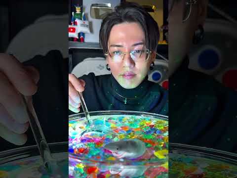 リムレスメガネ良いよね #asmr #shorts #shortvideo