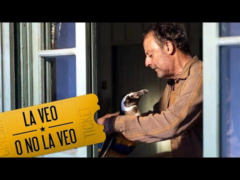 Mi Amigo el Pingüino | La Veo o No La Veo