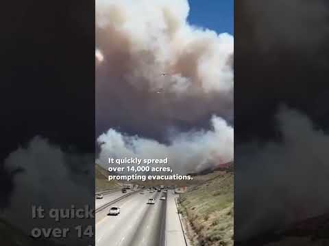 Firefighters battle quickly spreading brush fire in California #Shorts