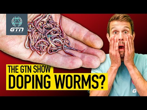 The Worm Blood Doping Scandal: Is It Real? | The GTN Show Ep. 336