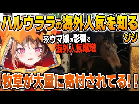 ウマ娘からハルウララの連敗記録と海外人気を知るジジ【英語解説】【日英両字幕】