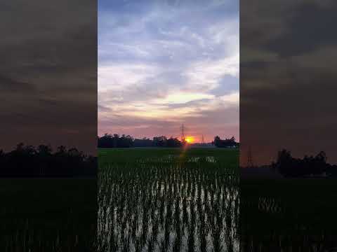 নিজেকে নিয়ে ফিকির করেন। #islamicshorts #waz #abutohamohammadadnan