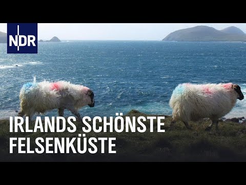 Magisches Dingle – Irlands Halbinsel am Ende der Welt | Nordseereport Spezial | NDR Doku