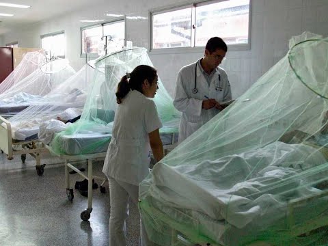 Alerta sanitaria por dengue: Aprende a conocer los primeros síntomas tras el contagio
