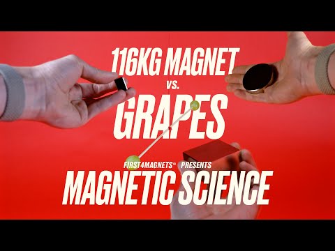 We Put Grapes Against a 116kg Magnet… Here’s What Happened