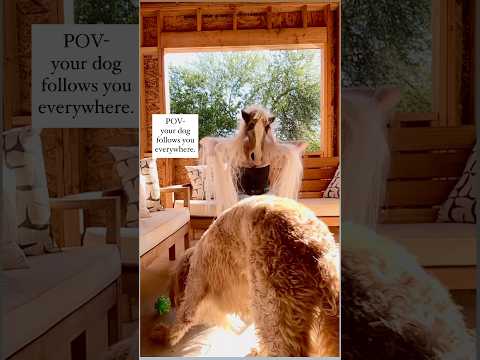 And I wouldn’t have it any other way. #dogmom #performanceart #facemask #makeup #photoshoot #artist