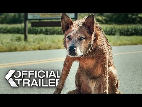 Pet Sematary: Bloodlines Trailer (2023)