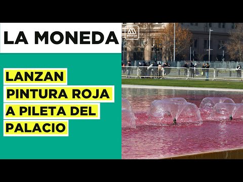 Lanzan pintura roja a pileta de La Moneda